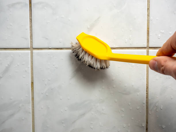 Best Home Mold Removal  in Berrien Springs, MI