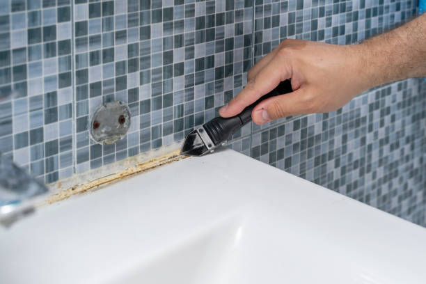 Best Mold Removal Company Near Me  in Berrien Springs, MI